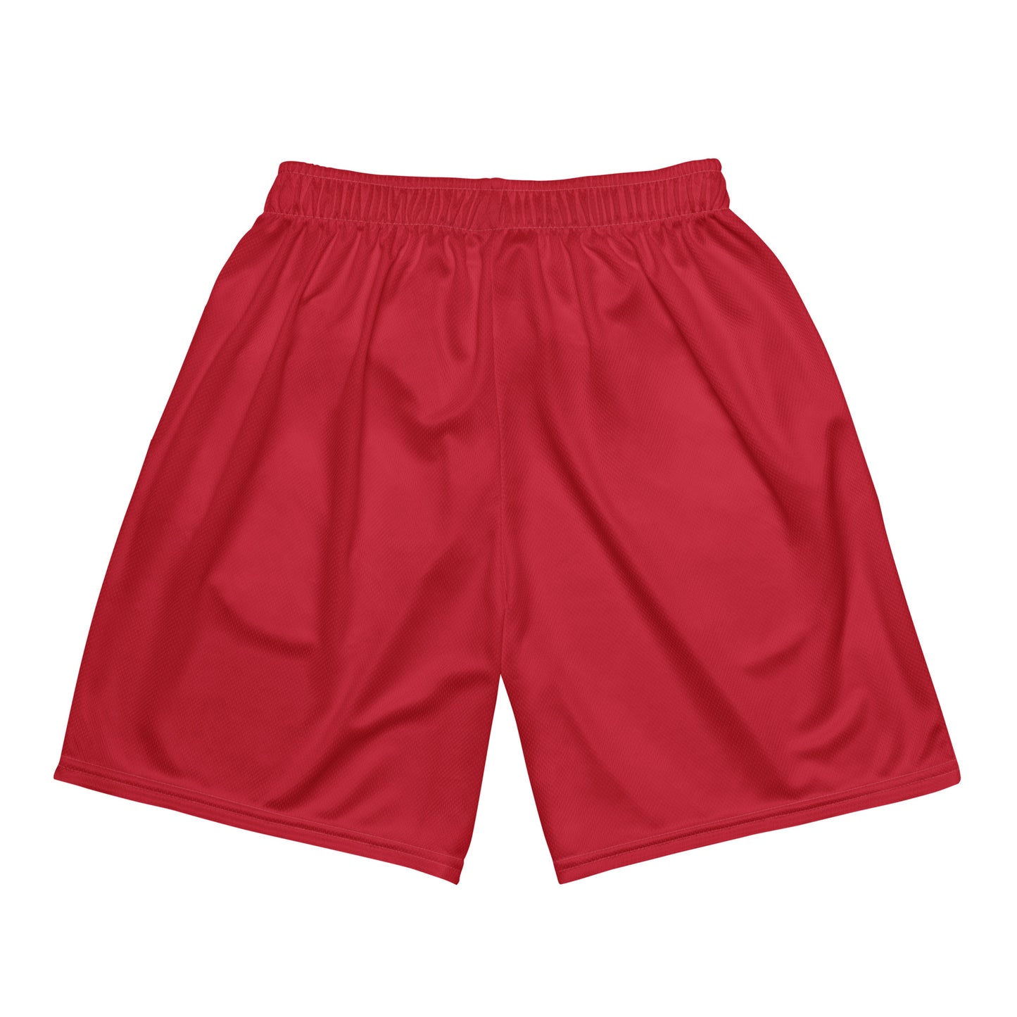 Unisex Mesh Shorts